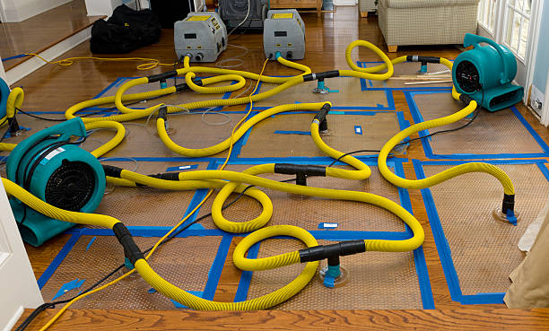 Professional Burst Pipe Water Damage technician working in Bridgewater, NJ